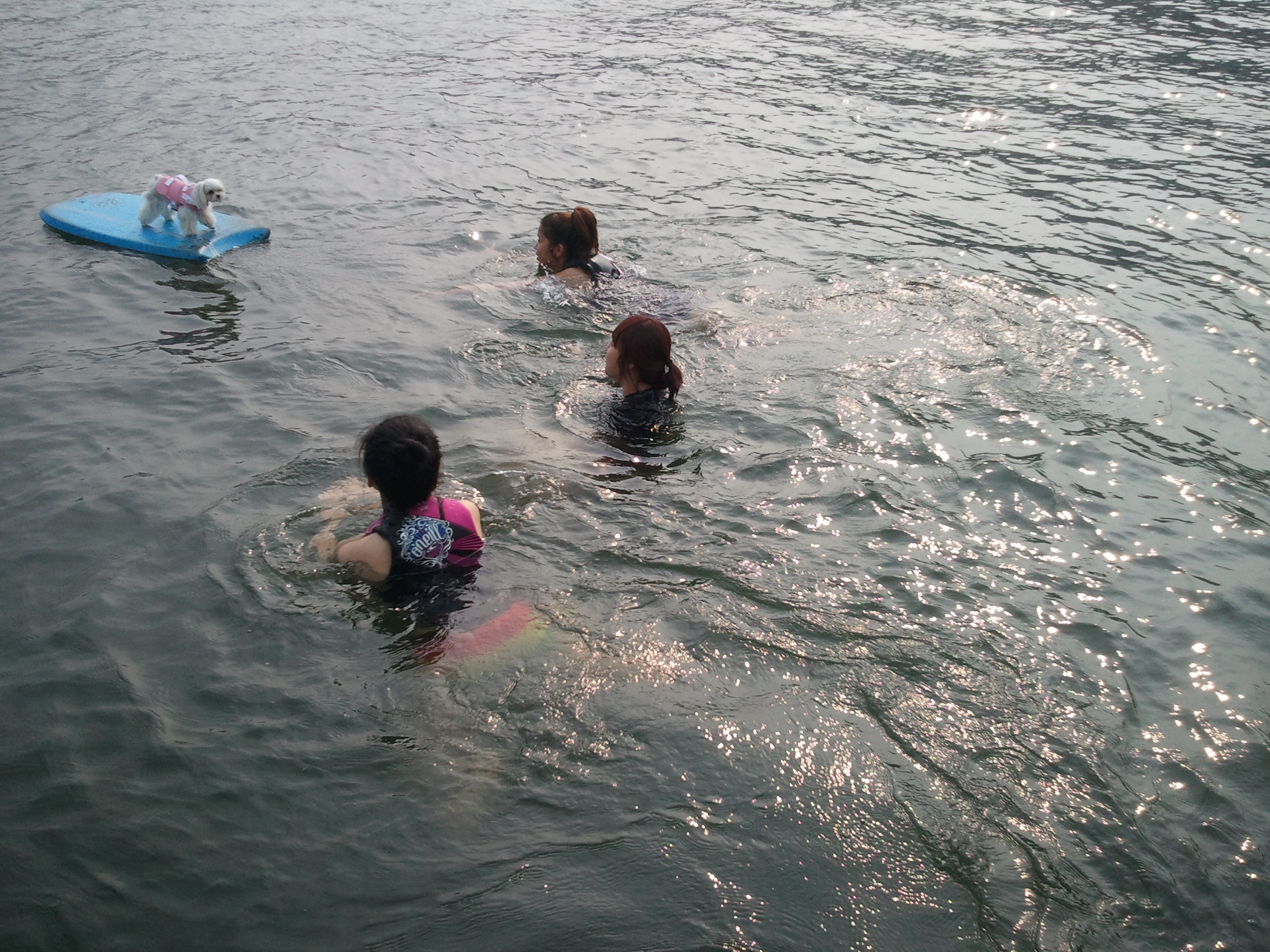 2012-06-24 16.45.42.jpg : 날씨가 너무 더워 물에 첨벙 뛰어든 청평워터피아 여성 회원들